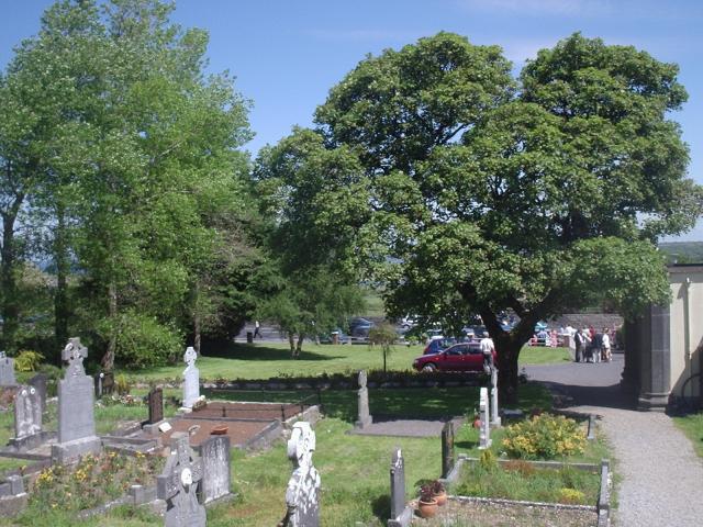 Graveyard in church grounds